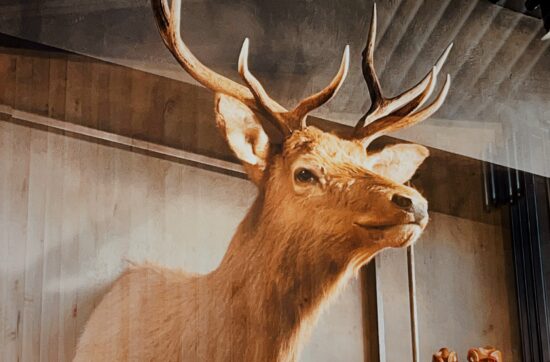 jon-tyson-epgajBY7Wvw-unsplash-550x362